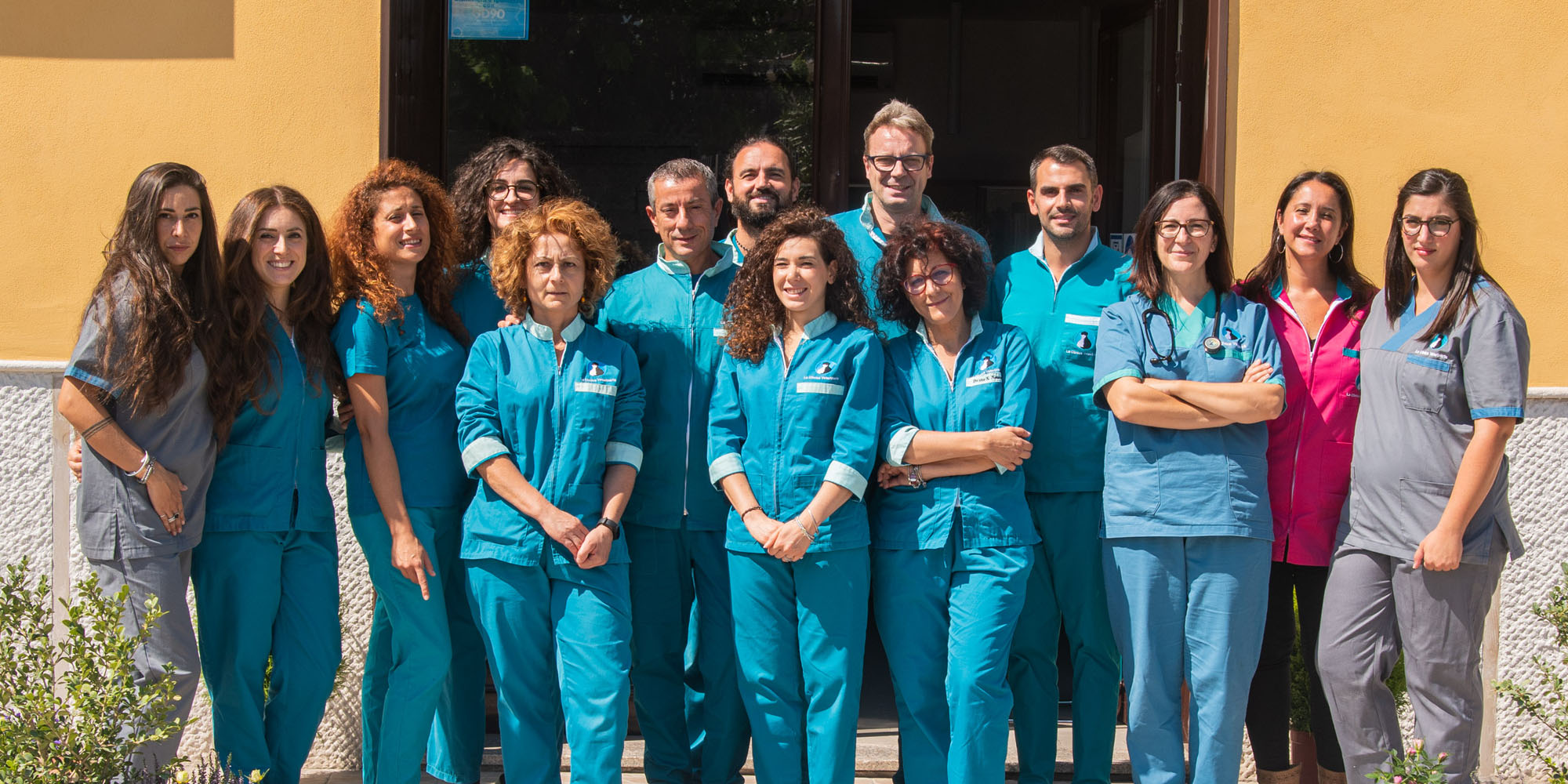 Lavora con noi | La clinica veterinaria srl